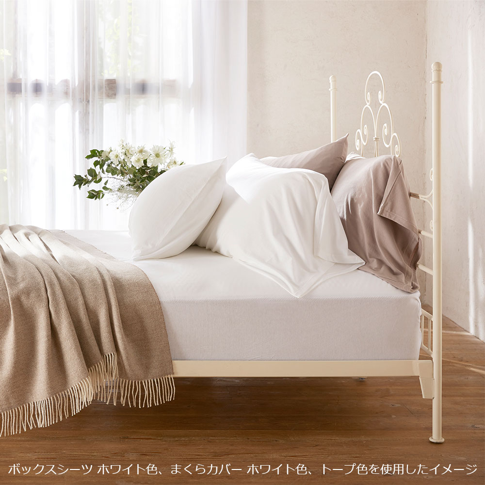 まくらカバー(封筒型)「Nプリート」エジプト超長綿 全2サイズ 全5色