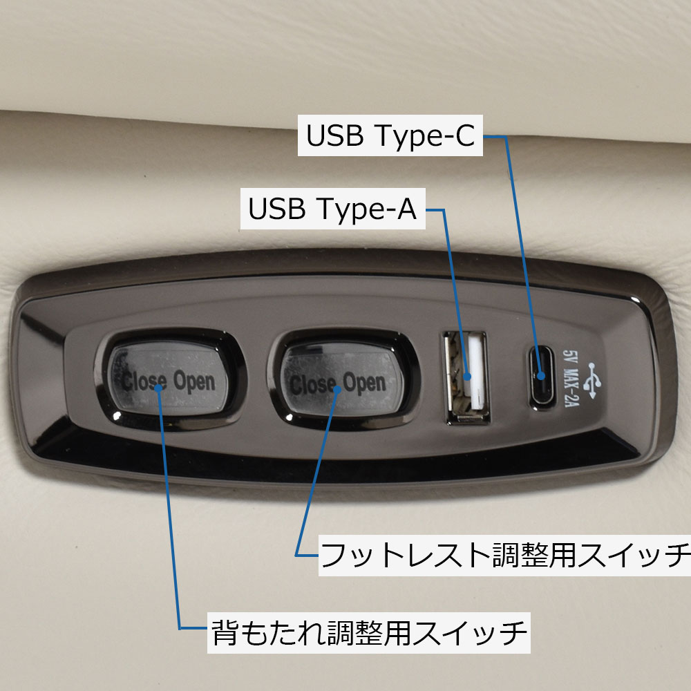 電動リクライニングチェア 「L/S Motion 501（エルエスモーション501）」革#H/S-521E フロスト色