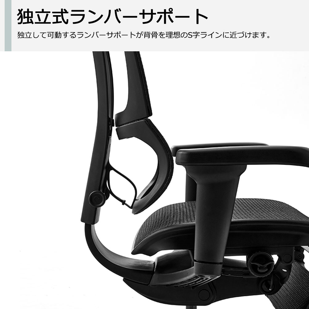 Ergohuman(エルゴヒューマン)「エルゴヒューマンFIT2 Lite」全2色【オンラインショップ限定品】