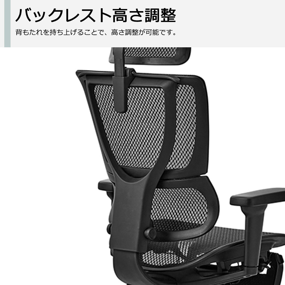 Ergohuman(エルゴヒューマン)「エルゴヒューマンFIT2 Lite」全2色【オンラインショップ限定品】