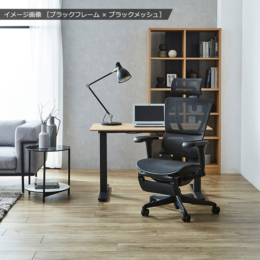 Ergohuman(エルゴヒューマン)「エルゴヒューマンFIT2 Lite」全2色【オンラインショップ限定品】
