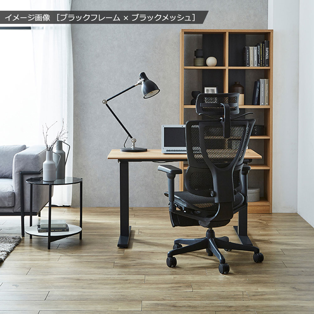 Ergohuman(エルゴヒューマン)「エルゴヒューマンFIT2 Lite」全2色【オンラインショップ限定品】