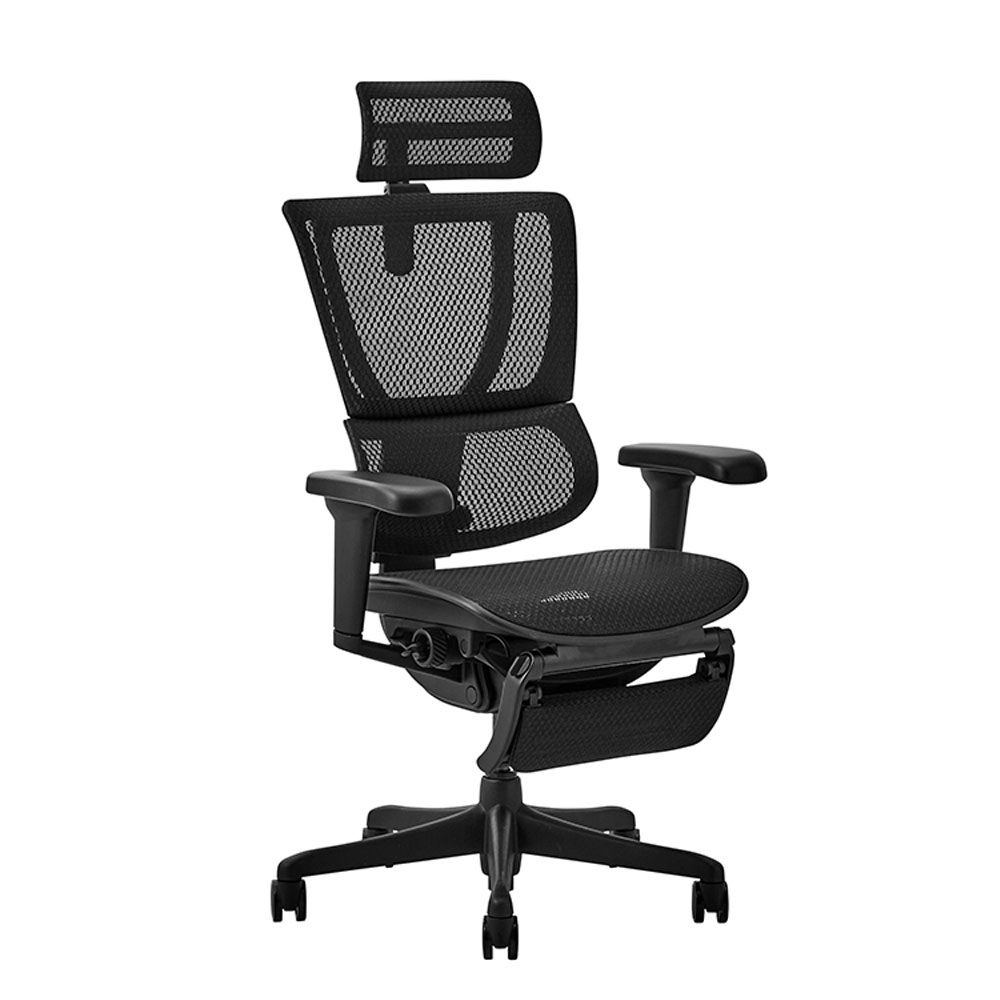 Ergohuman(エルゴヒューマン)「エルゴヒューマンFIT2 Lite」全2色【オンラインショップ限定品】