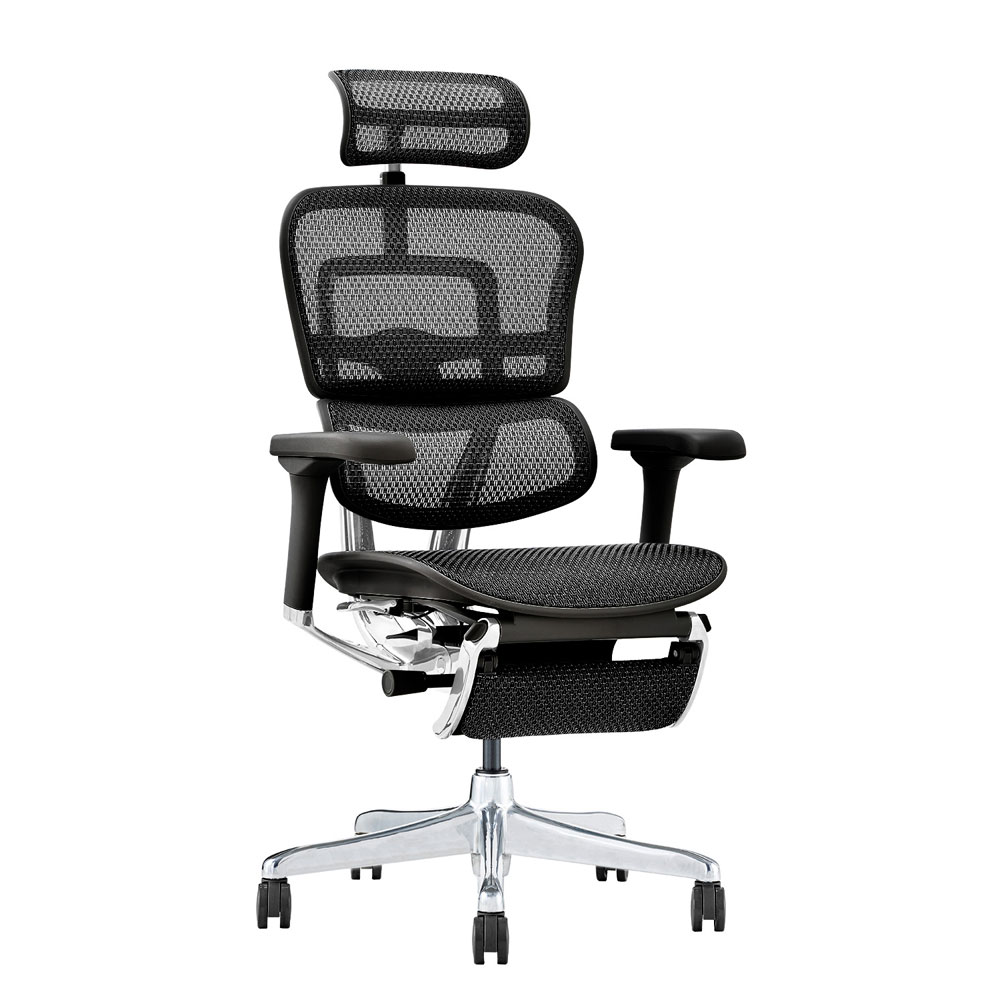 Ergohuman(エルゴヒューマン)「エルゴヒューマンPRO2 Ottoman EHP2-LPL-DR」フレーム全2色 張地全5色