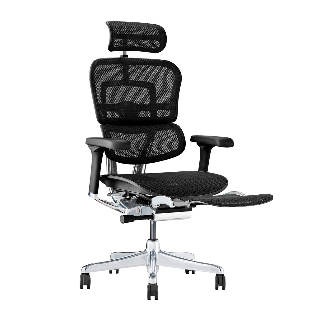 Ergohuman(エルゴヒューマン)「エルゴヒューマンPRO2 Ottoman EHP2-LPL-DR」フレーム全2色 張地全5色