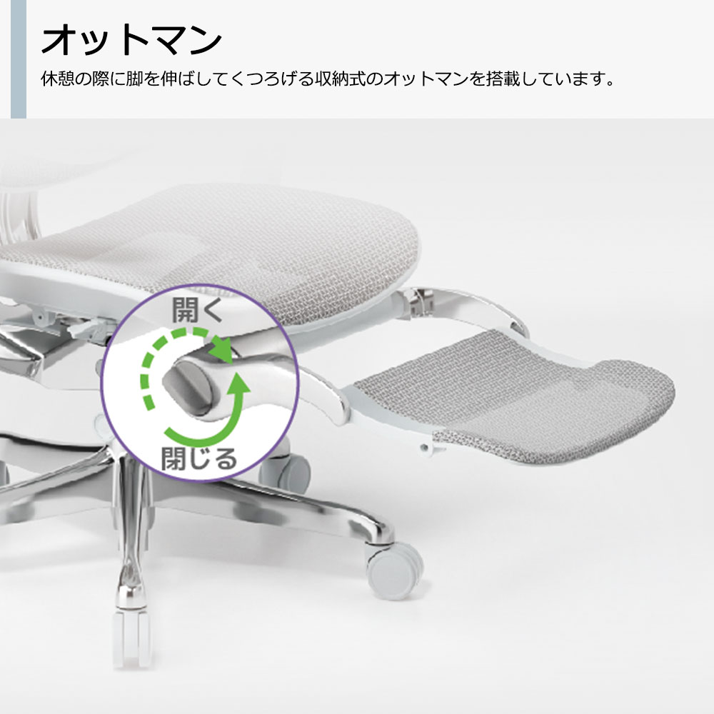 Ergohuman(エルゴヒューマン)「エルゴヒューマンPRO2 Ottoman EHP2-LPL-DR」フレーム全2色 張地全5色