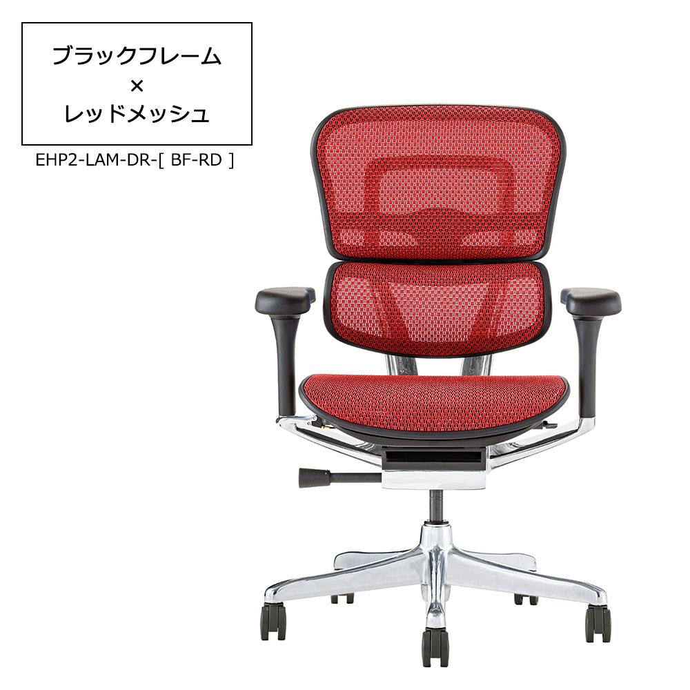 Ergohuman(エルゴヒューマン)「エルゴヒューマンPRO2 Low EHP2-LAM-DR」フレーム全2色 張地全5色