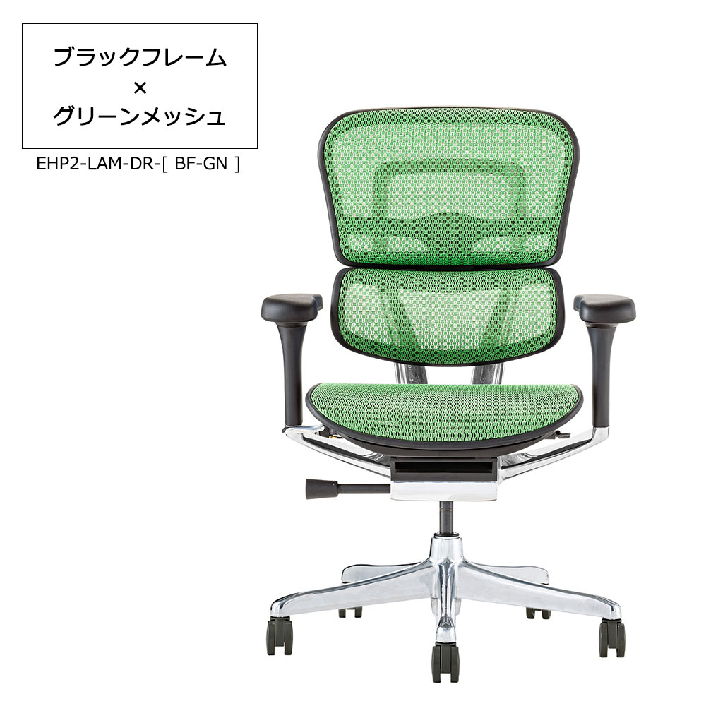 Ergohuman(エルゴヒューマン)「エルゴヒューマンPRO2 Low EHP2-LAM-DR」フレーム全2色 張地全5色