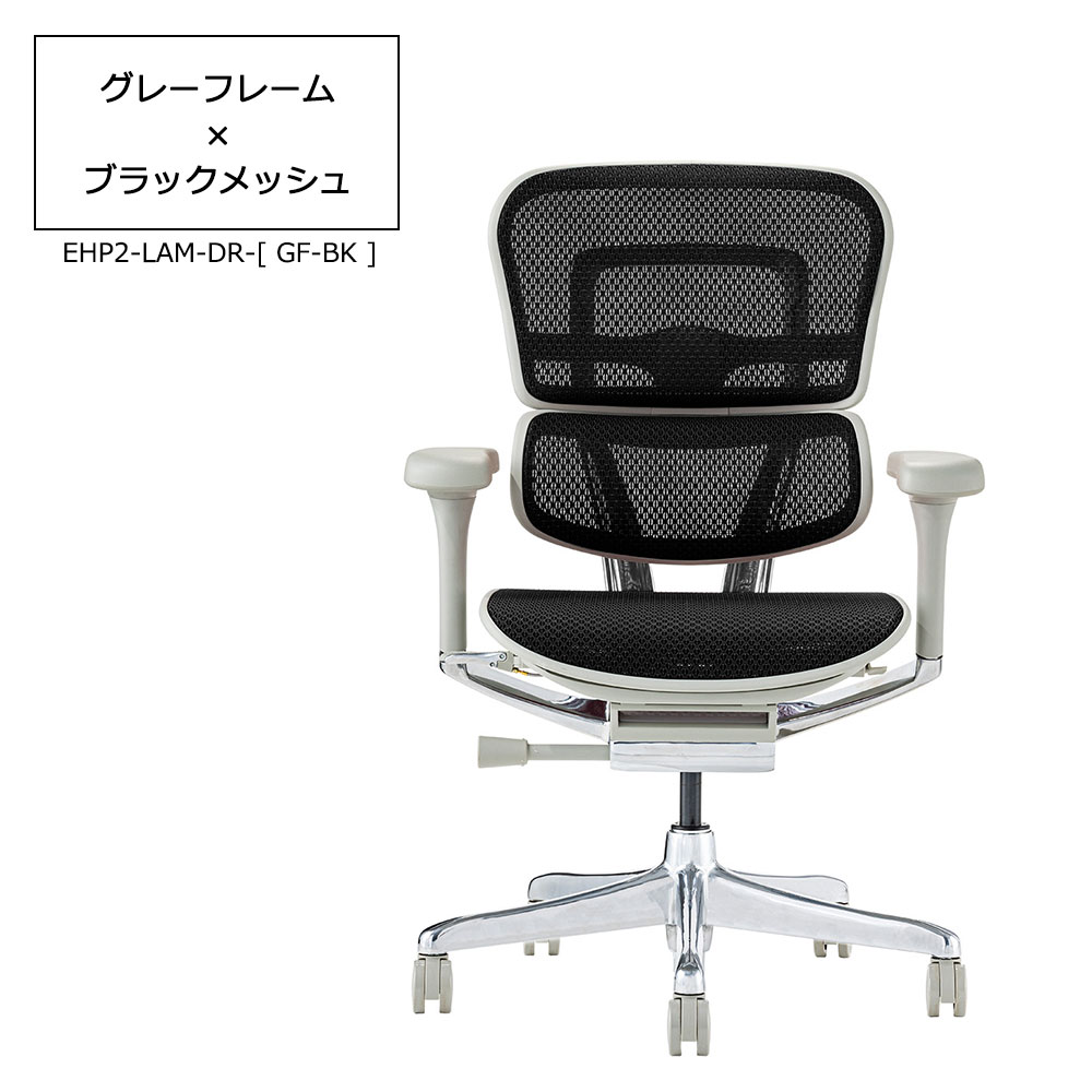 Ergohuman(エルゴヒューマン)「エルゴヒューマンPRO2 Low EHP2-LAM-DR」フレーム全2色 張地全5色