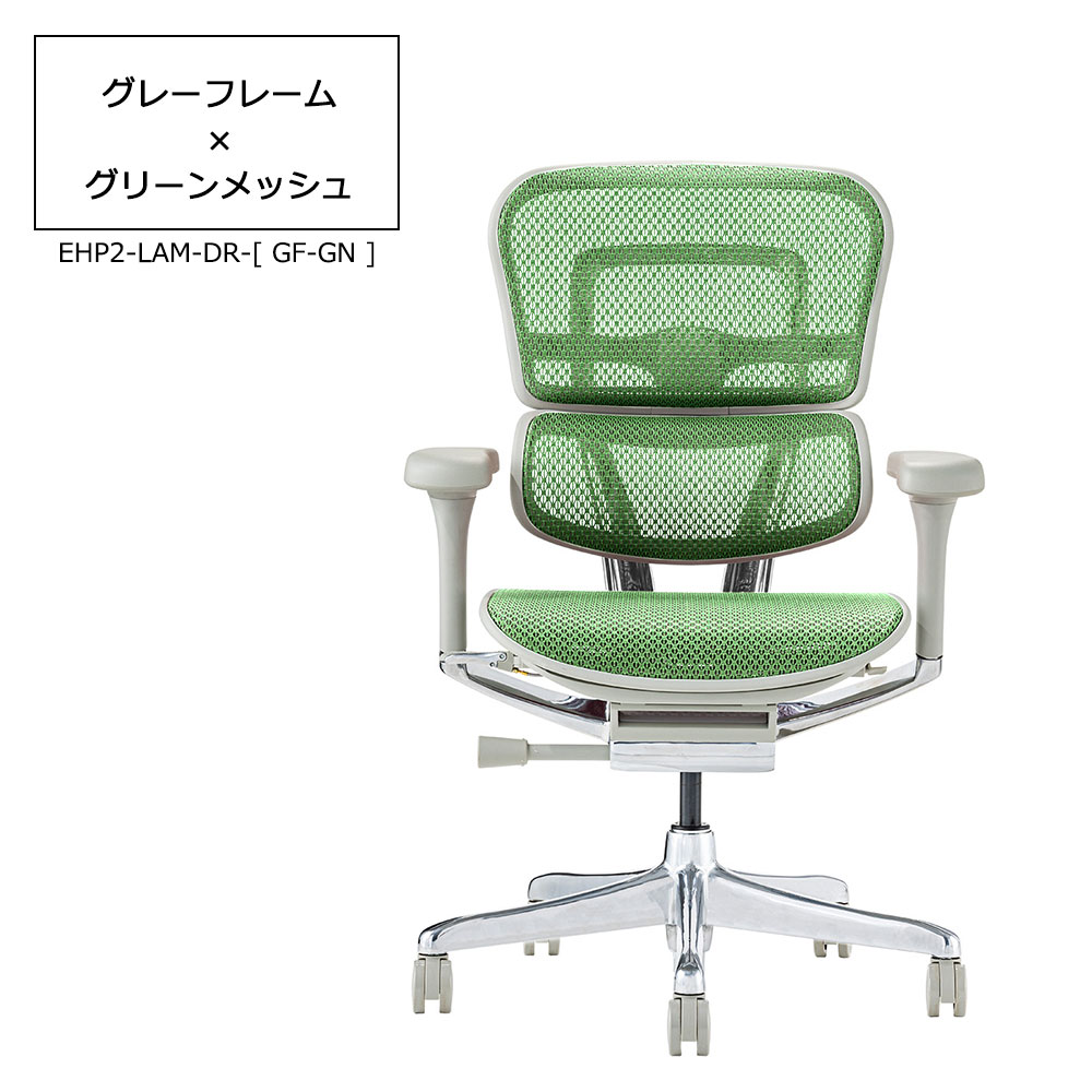 Ergohuman(エルゴヒューマン)「エルゴヒューマンPRO2 Low EHP2-LAM-DR」フレーム全2色 張地全5色
