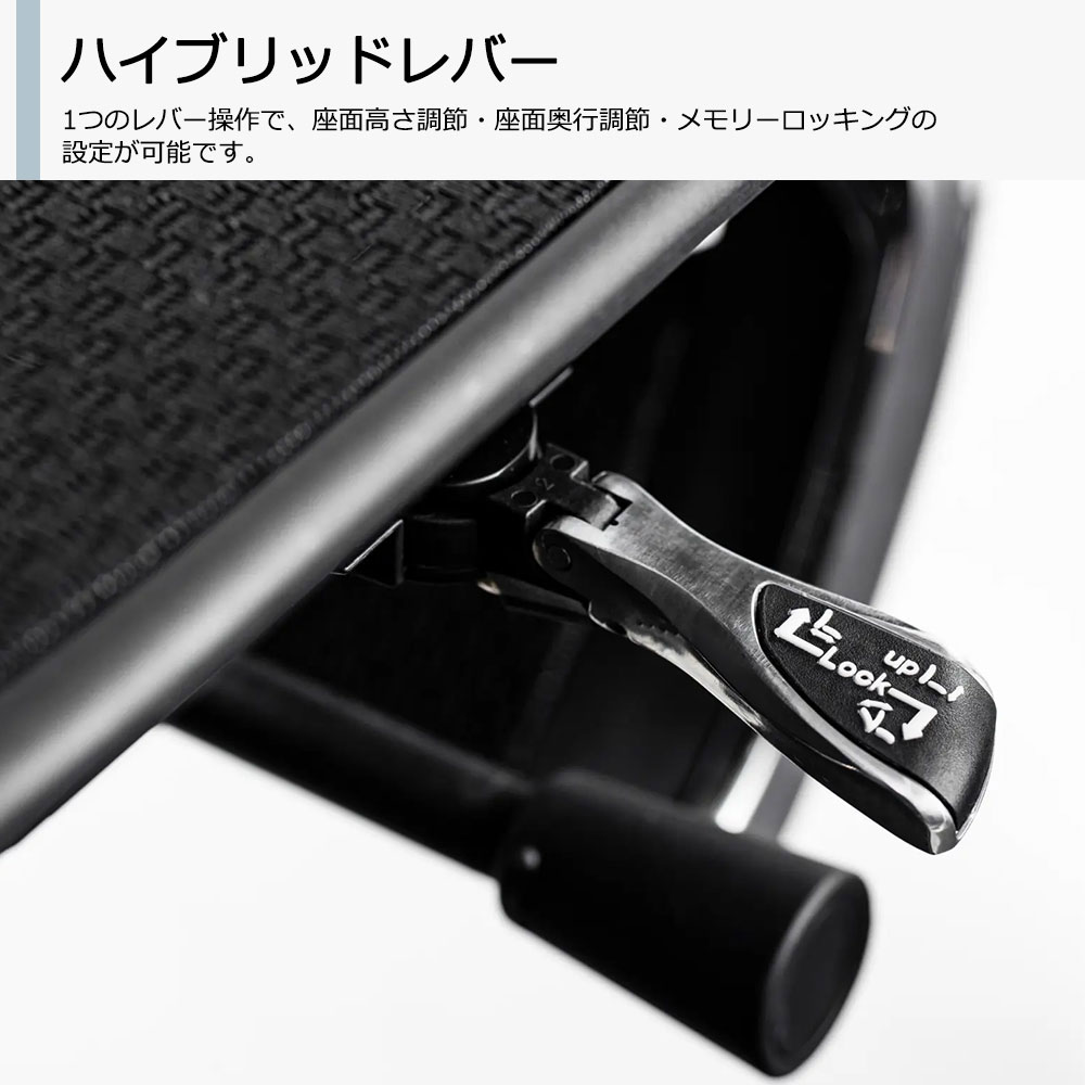 Ergohuman(エルゴヒューマン)「エルゴヒューマンPRO2 Low EHP2-LAM-DR」フレーム全2色 張地全5色