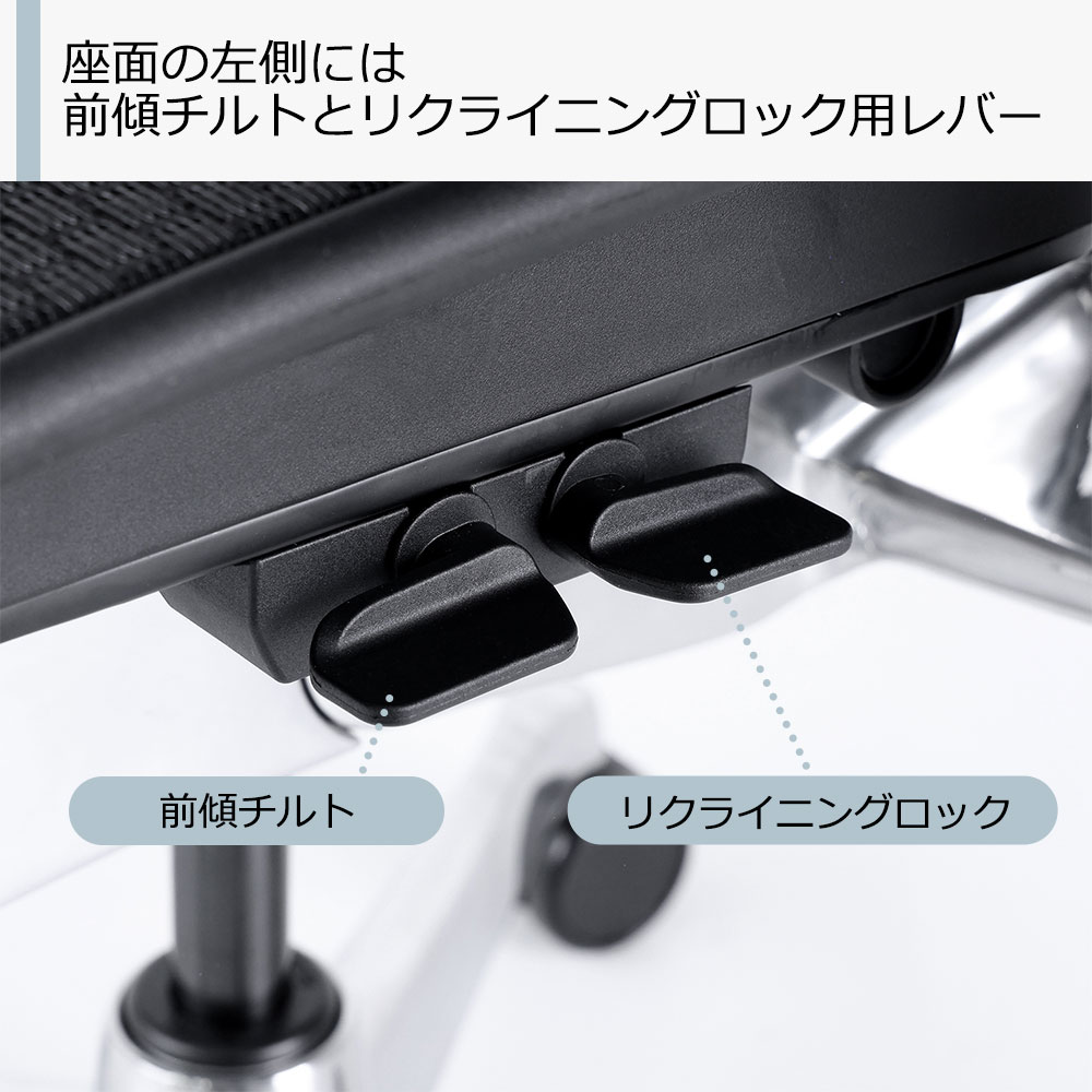 Ergohuman(エルゴヒューマン)「エルゴヒューマンPRO2 Low EHP2-LAM-DR」フレーム全2色 張地全5色