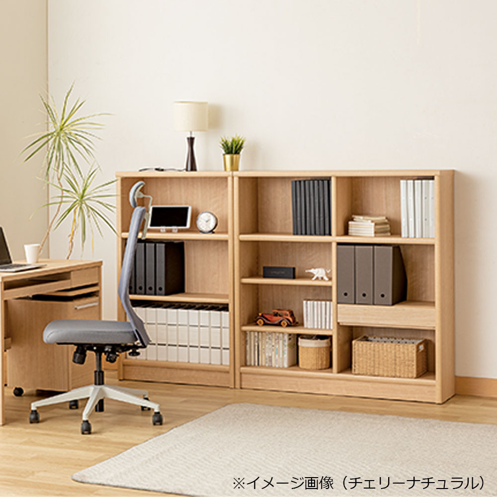 小島工芸　書棚 「Nアコード 120M」幅118.3cm ミドルタイプ 全4色【セール対象品のため5%OFF】