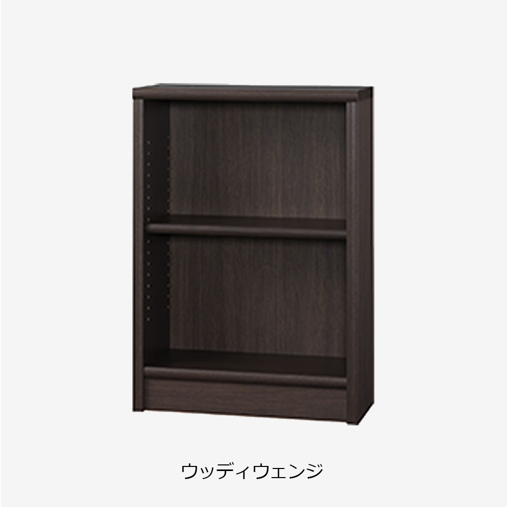 小島工芸　書棚「Nアコード 60L」幅61.3cm ロータイプ 全4色【セール対象品のため5%OFF】
