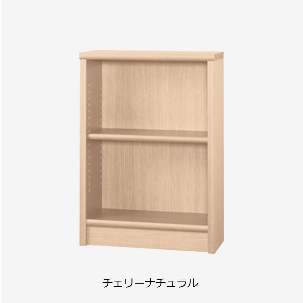 小島工芸　書棚「Nアコード 60L」幅61.3cm ロータイプ 全4色【セール対象品のため5%OFF】
