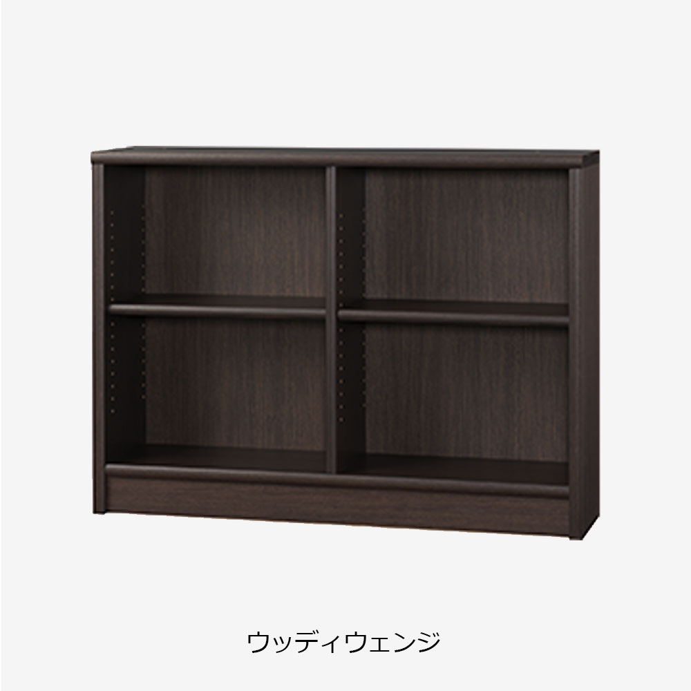小島工芸 書棚 「Nアコード 120L」幅118.3cm ロータイプ 全4色【セール対象品のため5%OFF】