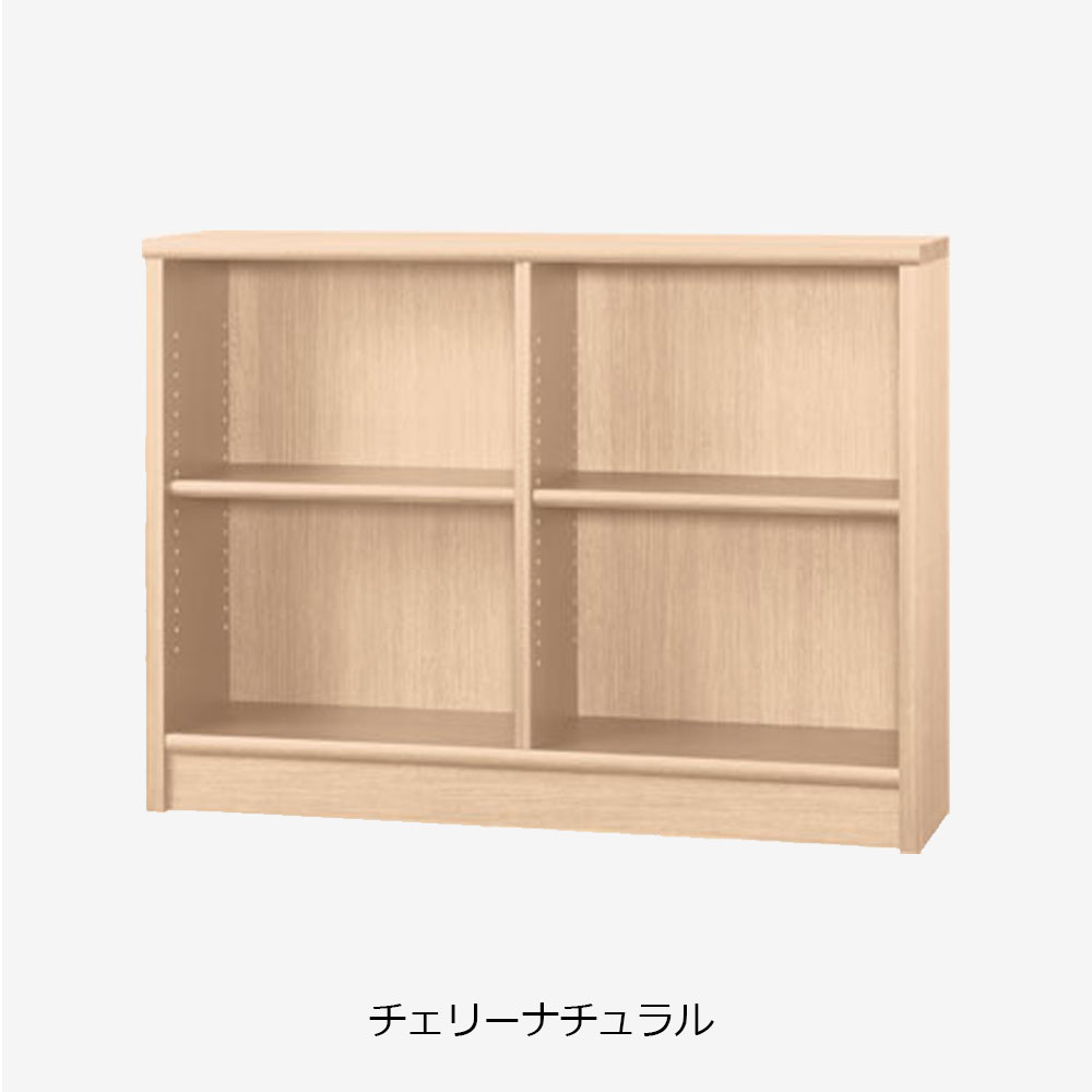小島工芸 書棚 「Nアコード 120L」幅118.3cm ロータイプ 全4色【セール対象品のため5%OFF】