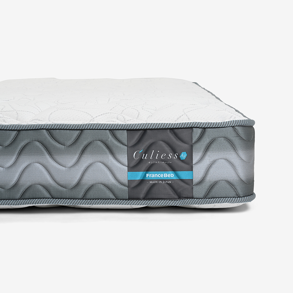 FranceBed(フランスベッド)マットレス 「スタイルサポート DX」厚さ24cm 高密度連続スプリング 全3サイズ(旧モデルのため在庫限り)