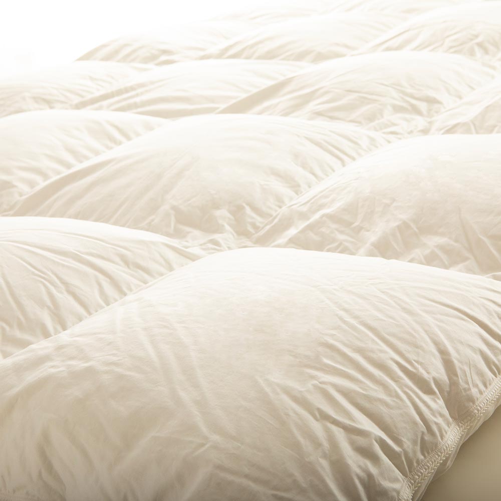 【まとめ買い特典 2枚ご購入で10%OFF】FranceBed(フランスベッド)羽毛布団「ティエドール2」2枚セット 全4サイズ サービスカバー付き