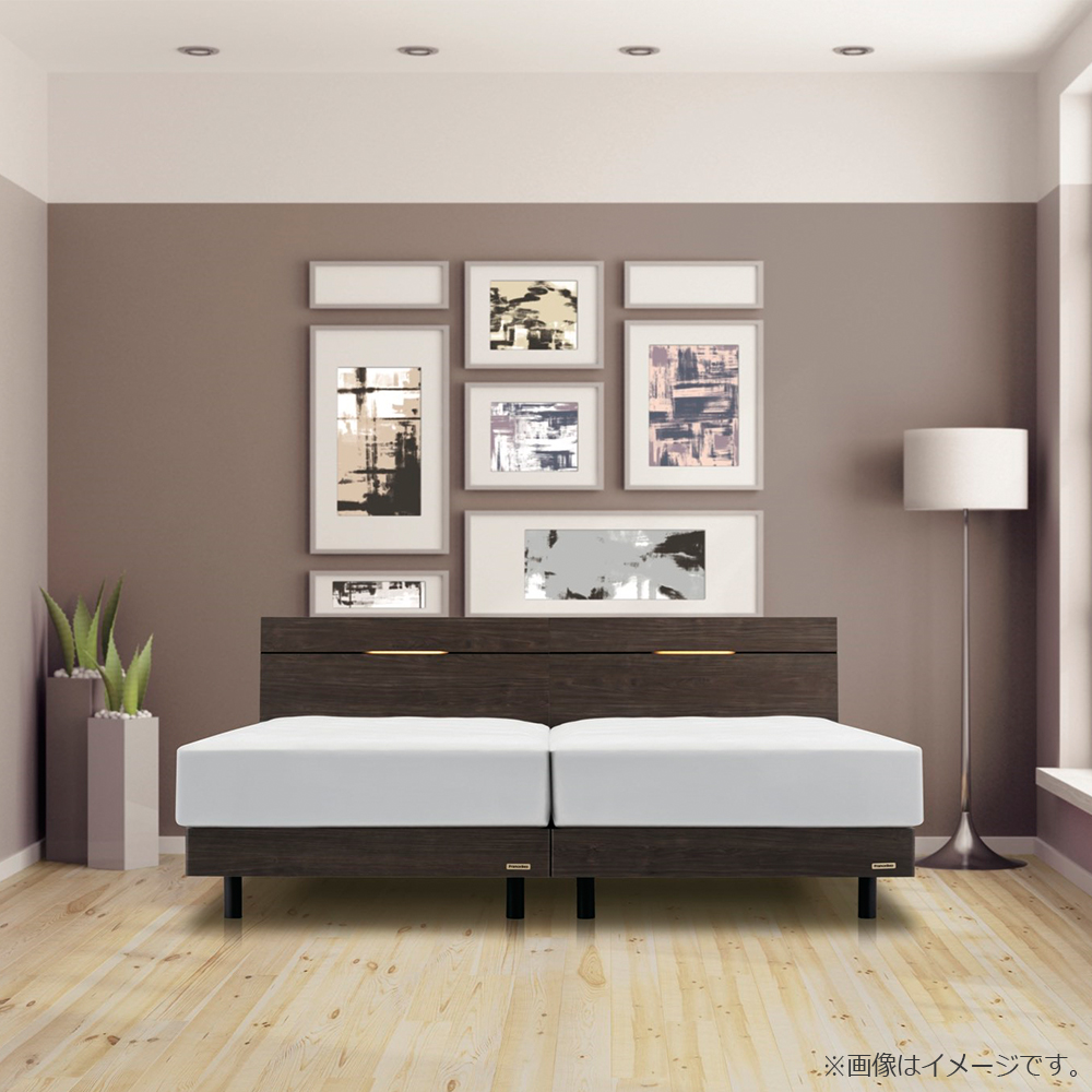 FranceBed（フランスベッド）ベッドフレーム「EY-02C LG」レッグタイプ コンセント・LED照明付き すのこ床板 全2色