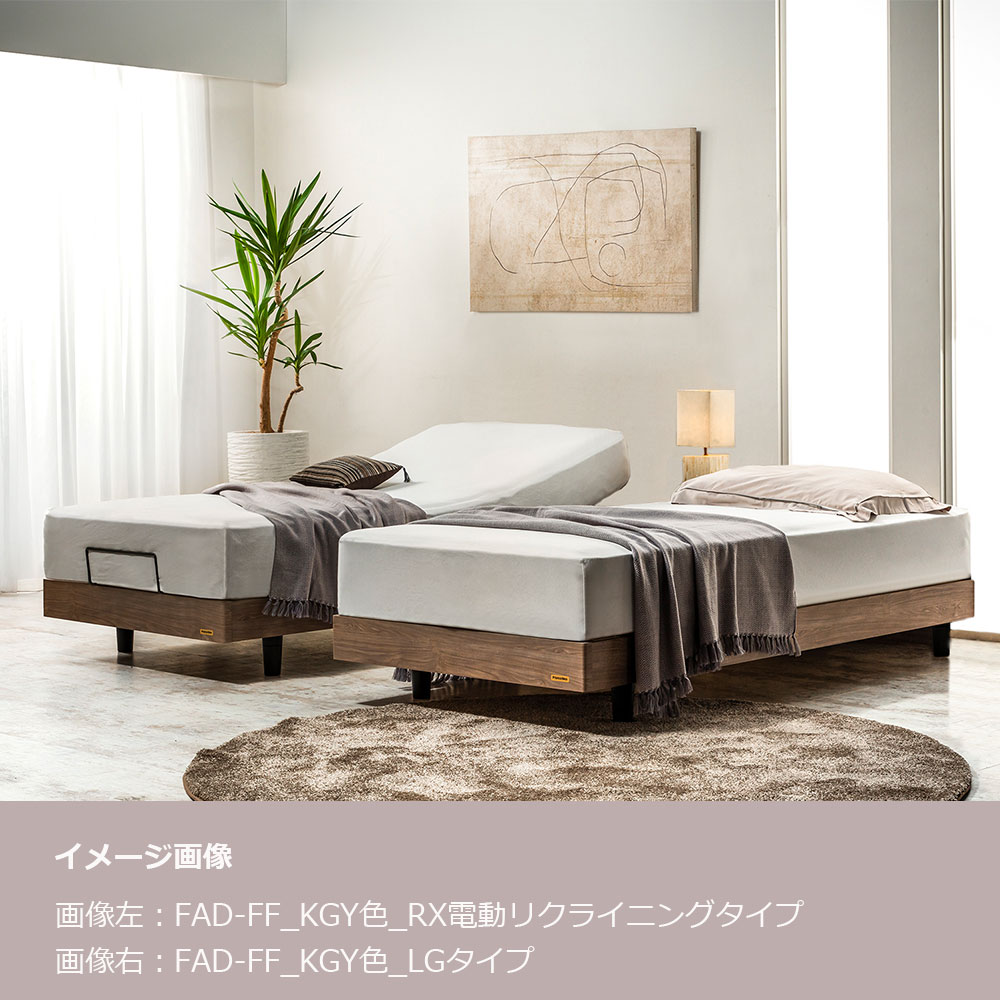 FranceBed（フランスベッド）電動ベッドフレーム「ファディア FAD-FF RX」ヘッドボード無 全2サイズ 全3色