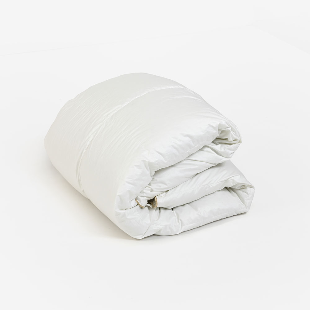 【まとめ買い特典 2枚ご購入で10%OFF】FranceBed(フランスベッド)羽毛布団「ティエドール2 ミディアム」2枚セット 全4サイズ サービスカバー付き