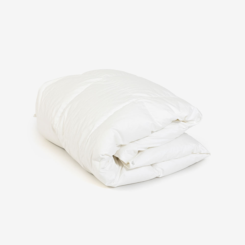 【まとめ買い特典 2枚ご購入で10%OFF】FranceBed（フランスベッド）羽毛布団「ティエドール2 肌掛け」2枚セット 全4サイズ サービスカバー付き【ダブルカバーキャンペーン実施中】
