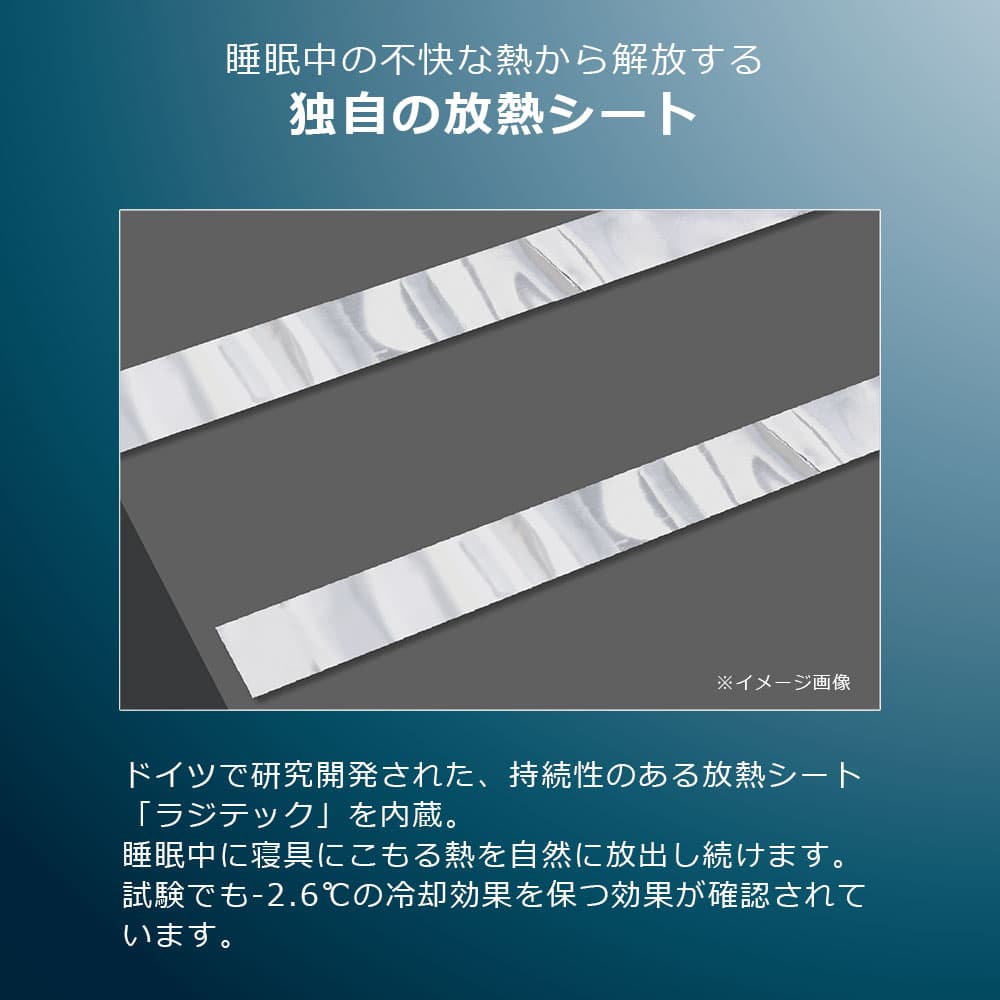 敷ふとん「ズカンフトン」シングルサイズ FranceBed(フランスベッド)