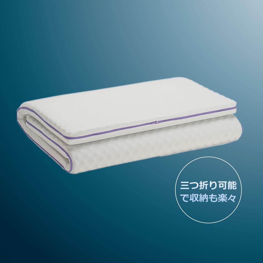 敷ふとん「ズカンフトン」シングルサイズ FranceBed(フランスベッド)