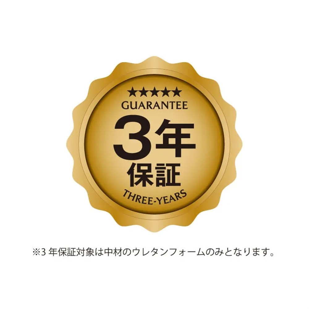 マットレス「Dots Plus ヘルシーマットレス」三つ折り 全3サイズ nishikawa(西川)睡眠Labo