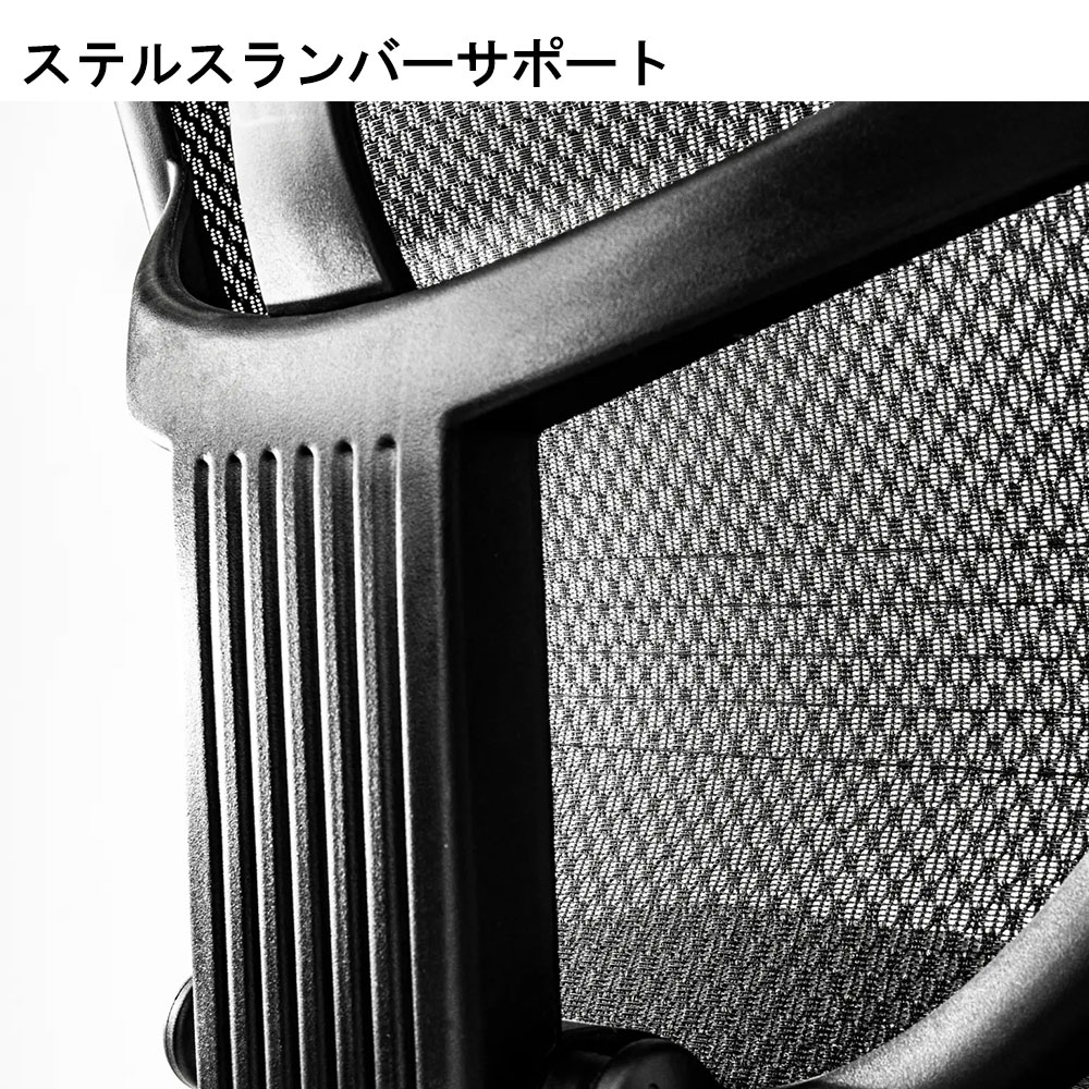 Ergohuman(エルゴヒューマン)「エンジョイ2 DC EJ2-LAM」フレーム全2色 張地全5色