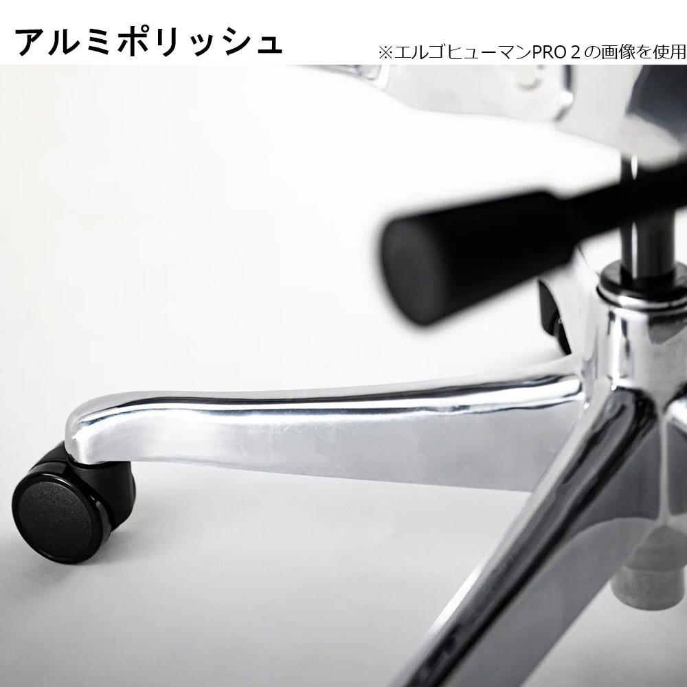 Ergohuman(エルゴヒューマン)「エンジョイ2 DC EJ2-LAM」フレーム全2色 張地全5色