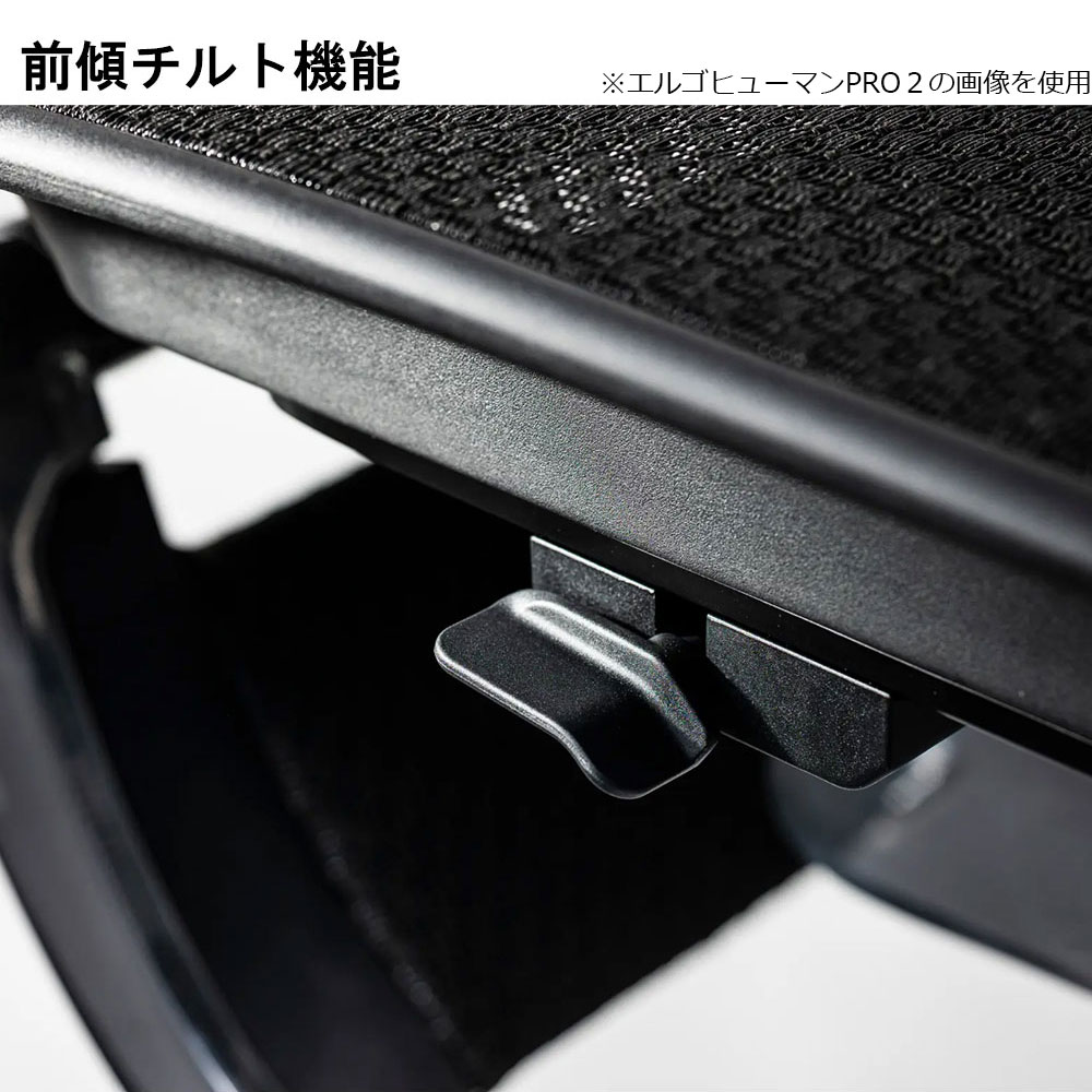 Ergohuman(エルゴヒューマン)「エンジョイ2 DC EJ2-HAM」フレーム全2色 張地全5色