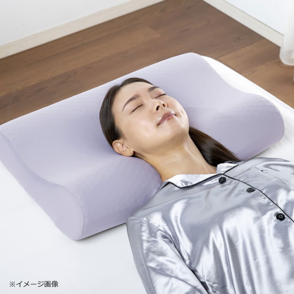枕「ズカンピロー」FranceBed(フランスベッド)