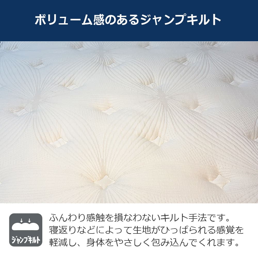 リクライニングマットレス「RX-HU-Ag-PW プレミア MON」厚さ24cm 高密度連続スプリング 全2サイズ FranceBed(フランスベッド)