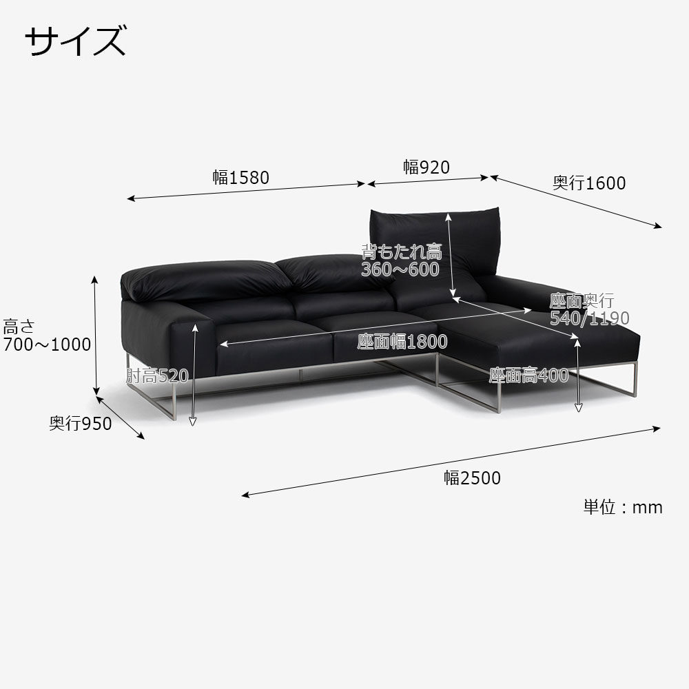erba（エルバイタリア）カウチソファ2点セット 向って右カウチ「フォーエバーヤング」幅250cm 革#C ブラック色【お手入れキットの特典付き】