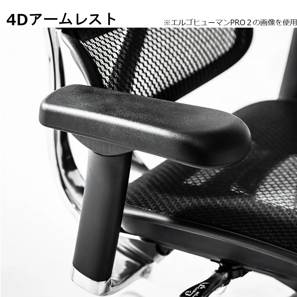Ergohuman(エルゴヒューマン)「エンジョイ2 DC EJ2-HAM」フレーム全2色 張地全5色