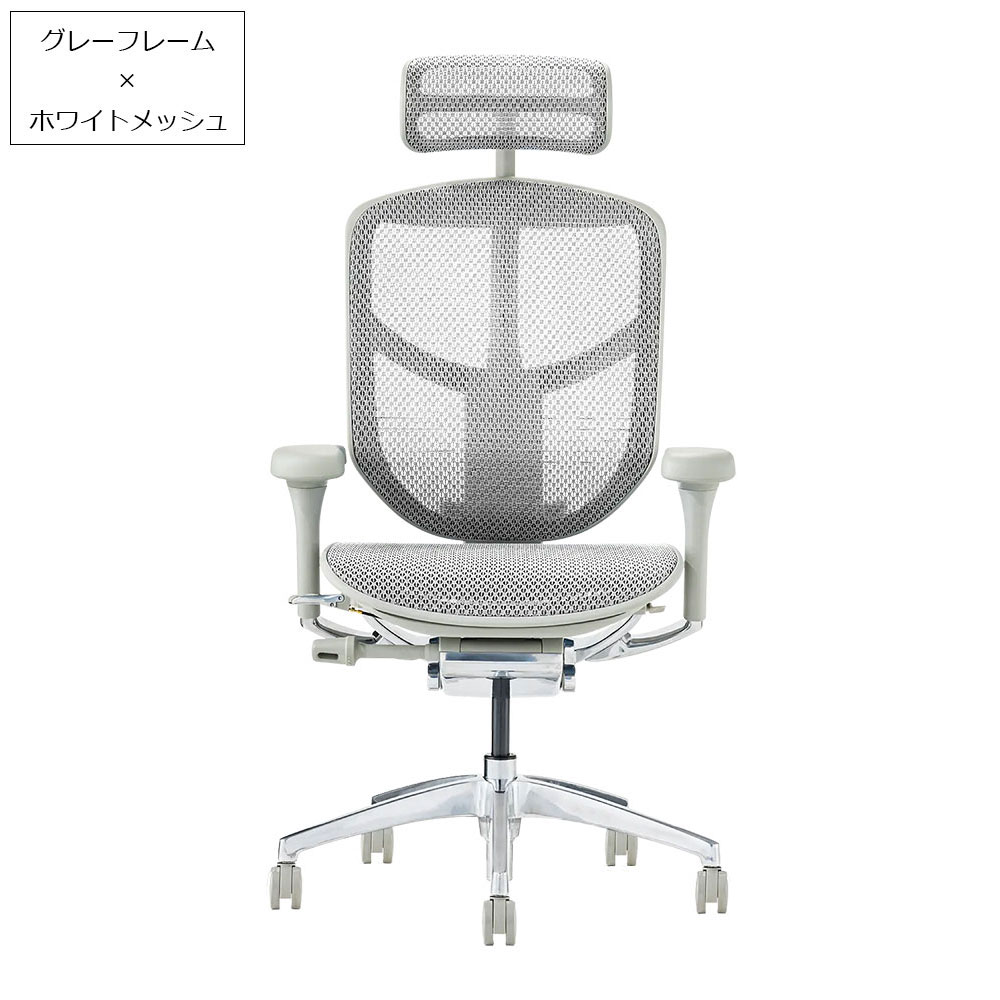 Ergohuman(エルゴヒューマン)「エンジョイ2 DC EJ2-HAM」フレーム全2色 張地全5色