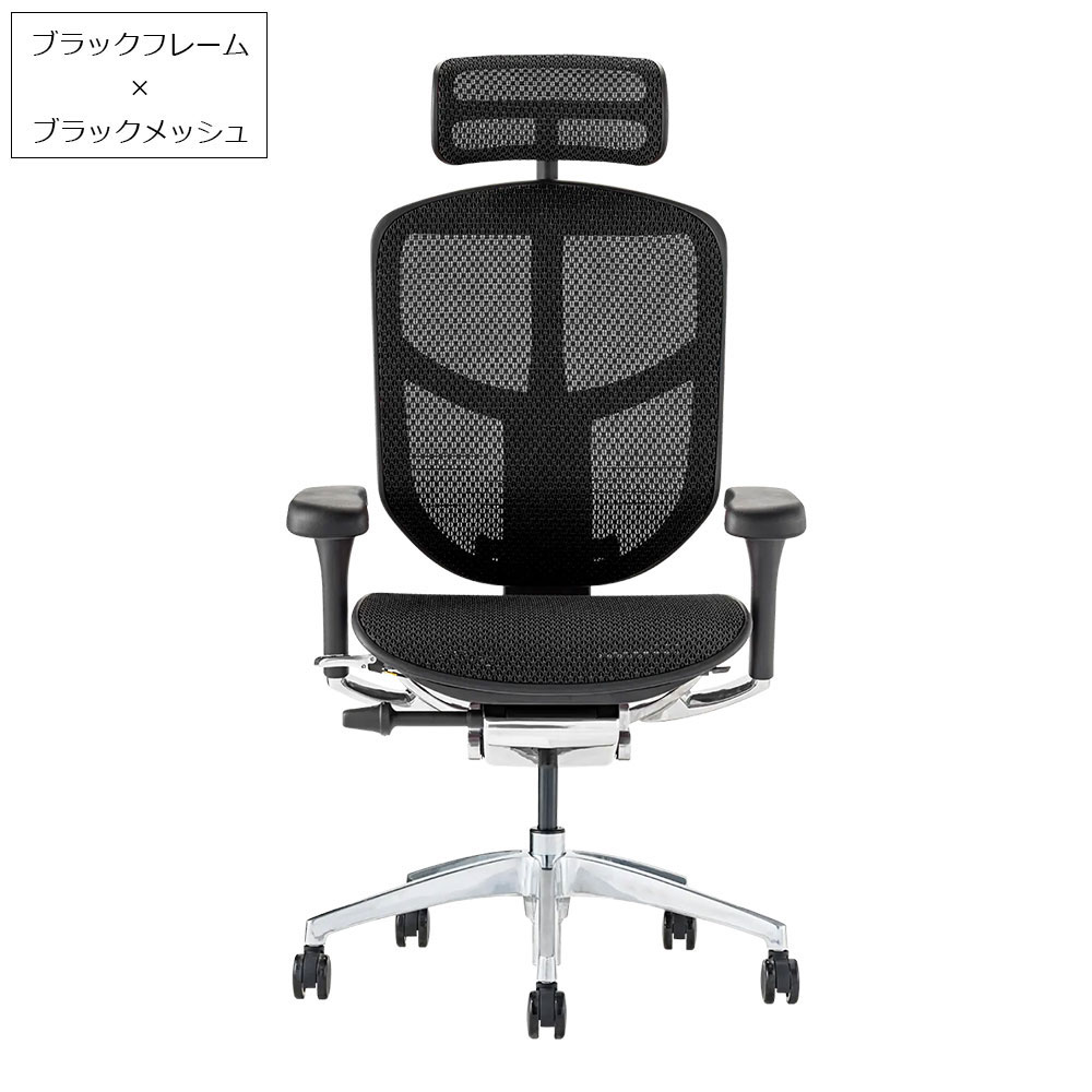 Ergohuman(エルゴヒューマン)「エンジョイ2 DC EJ2-HAM」フレーム全2色 張地全5色