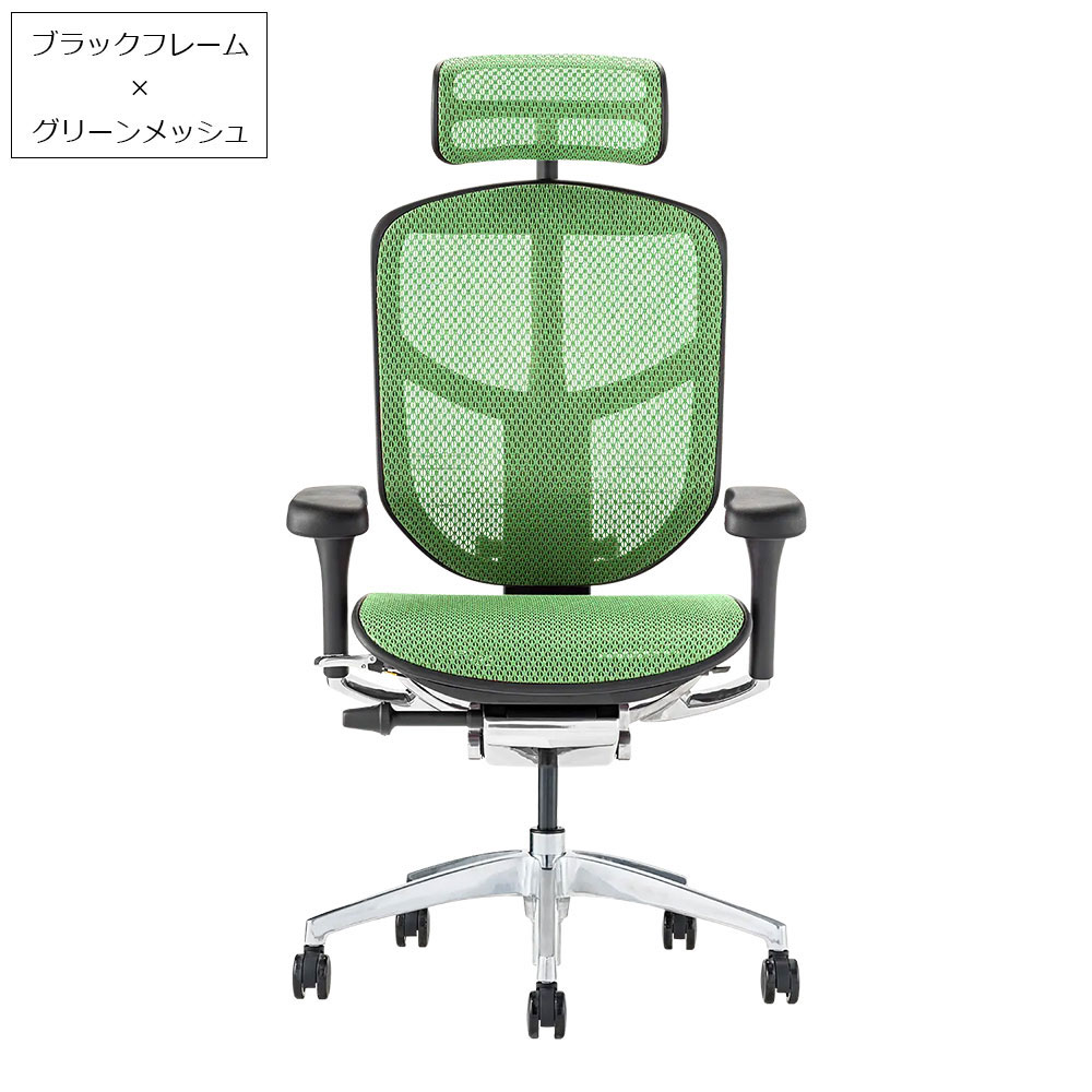Ergohuman(エルゴヒューマン)「エンジョイ2 DC EJ2-HAM」フレーム全2色 張地全5色