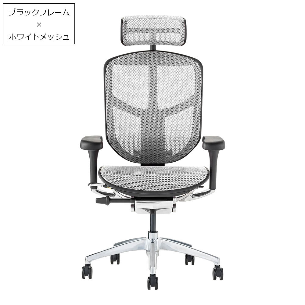 Ergohuman(エルゴヒューマン)「エンジョイ2 DC EJ2-HAM」フレーム全2色 張地全5色