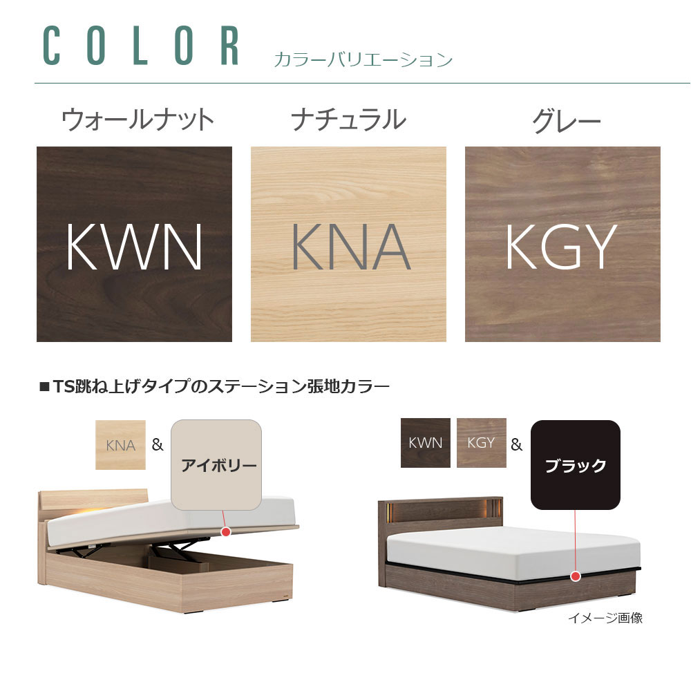 FranceBed(フランスベッド)ベッドフレーム「ファディア FAD-C3 TS」コンセント付き 縦跳ね上げ収納( 床板面高2タイプ)全4サイズ 全3色