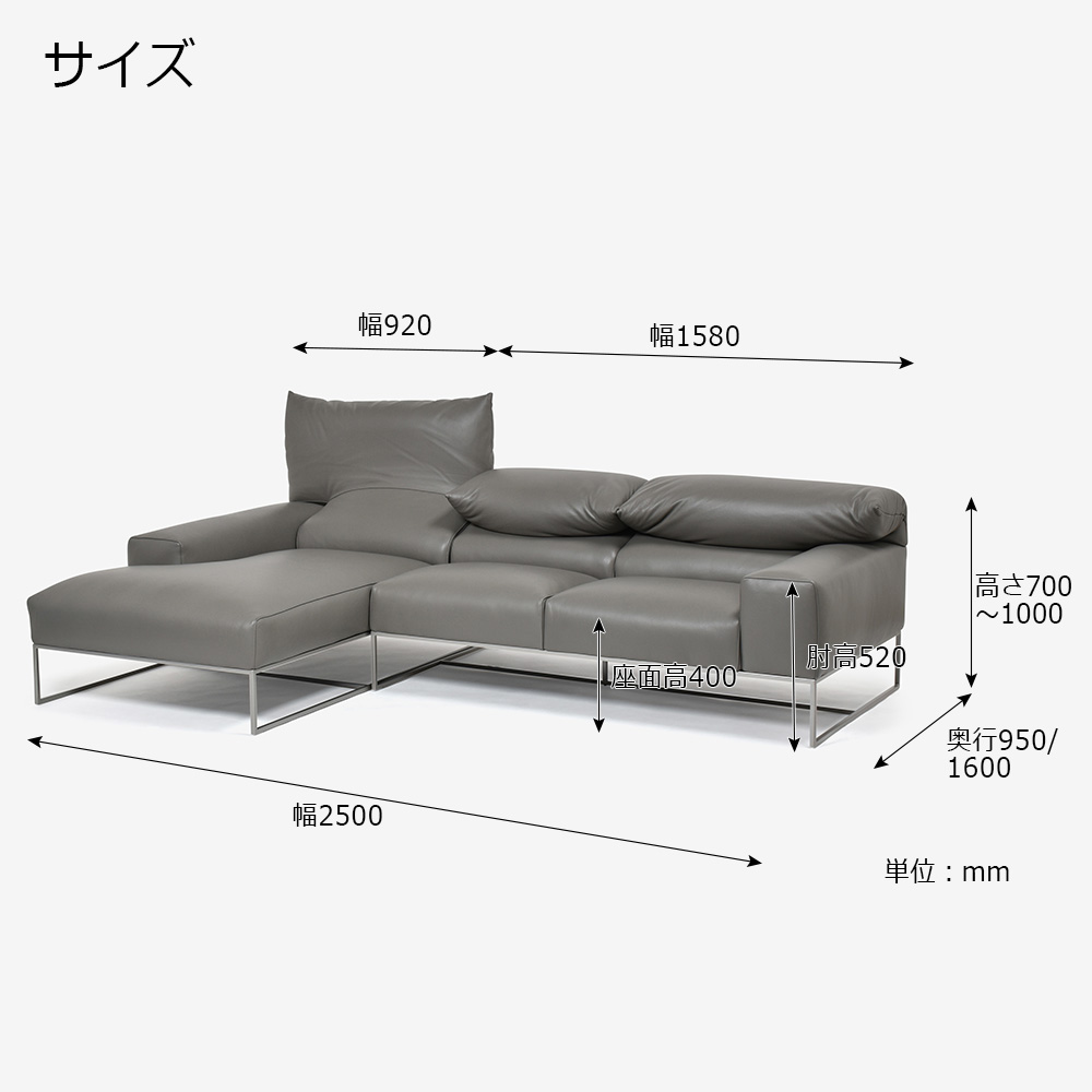 erba(エルバイタリア)カウチソファ2点セット 向って左カウチ「フォーエバーヤング」幅250cm 革#C ライトグレー色【お手入れキットの特典付き】