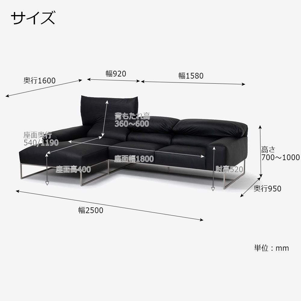 erba(エルバイタリア)カウチソファ2点セット 向って左カウチ「フォーエバーヤング」幅250cm 革#C ブラック色【お手入れキットの特典付き】