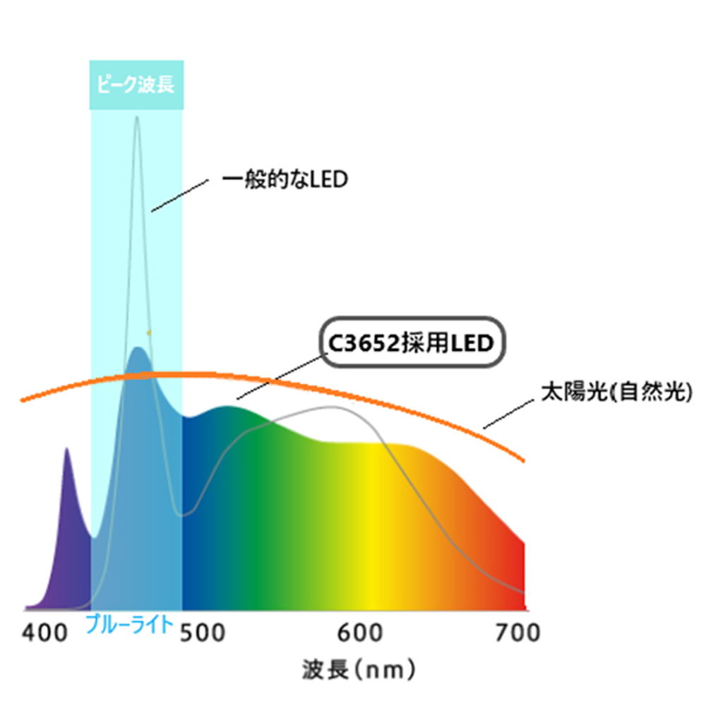 hotta woody(堀田木工所)LEDライト「C-3652D」全2色