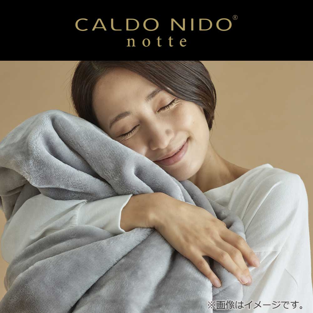 クッション「カルドニード ノッテ3」シルバー 全2サイズ