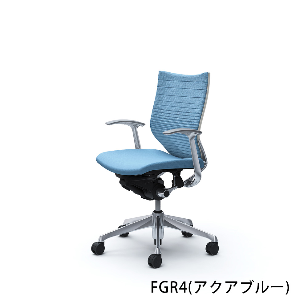 「バロンチェア CP43BW-FGR」ローバック 座面/クッション 背/グラデーションサポートメッシュ フレーム/ポリッシュ ボディーカラー/ホワイト デザインアーム 張地全6色【受注生産品】okamura(オカムラ)