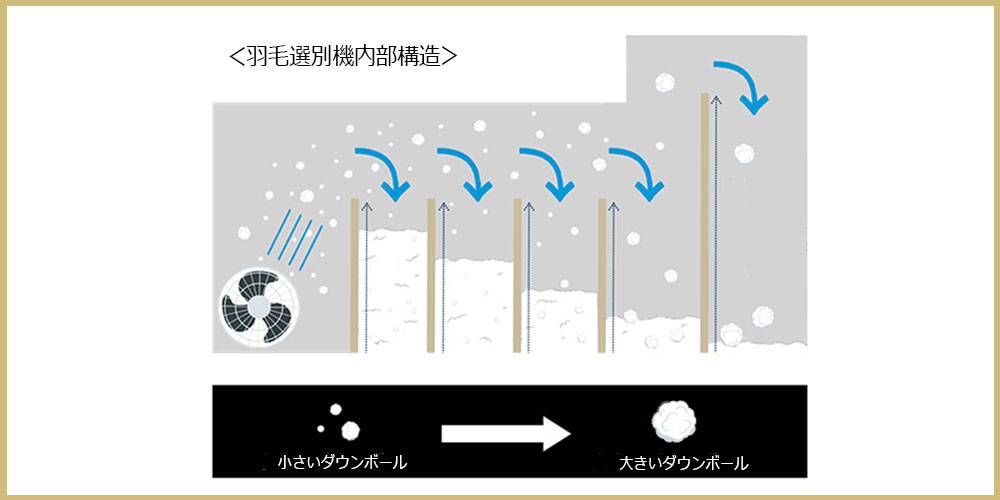 羽毛の選別方法のイラスト