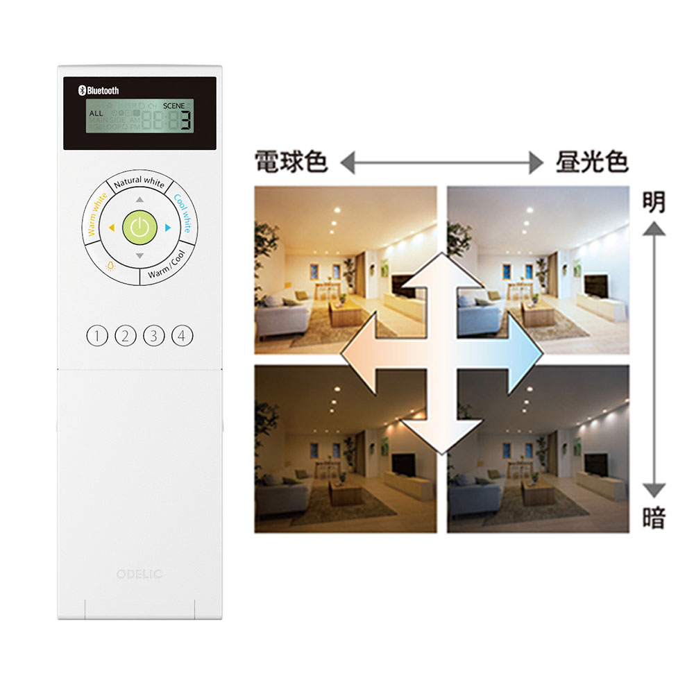 RC911の画像
