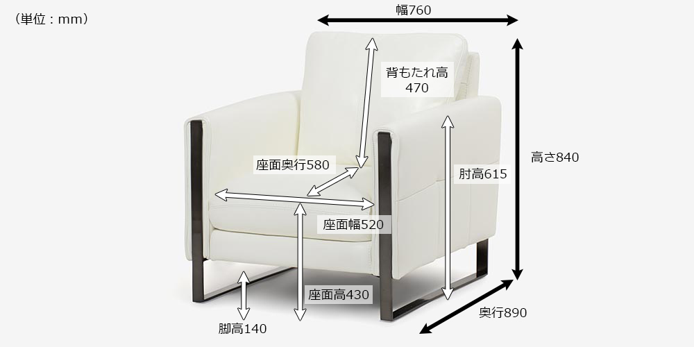 サイズ詳細